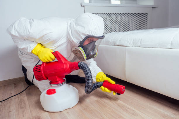 Best Ant Control Services  in Muscatine, IA