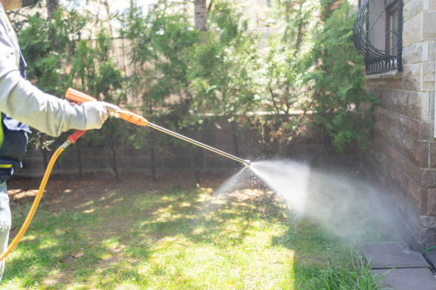 Professional Pest Control in Muscatine, IA