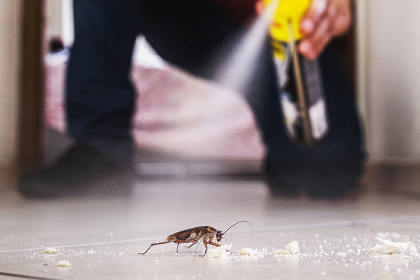 Best Insect Control  in Muscatine, IA